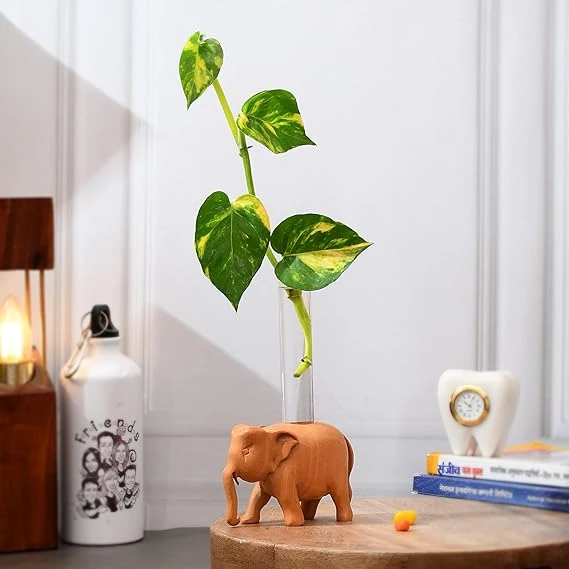 Elephant-Shaped Wooden Stand with Glass Test Tube – Unique Indoor/Outdoor Decora